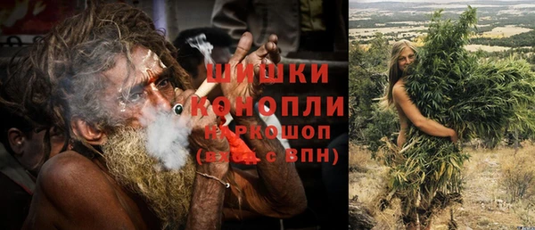 ГАЛЛЮЦИНОГЕННЫЕ ГРИБЫ Лихославль