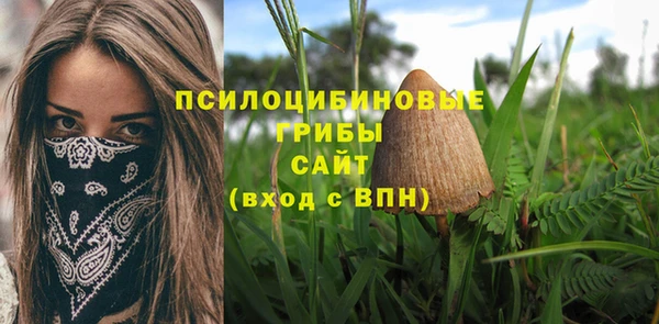 дурь Майский