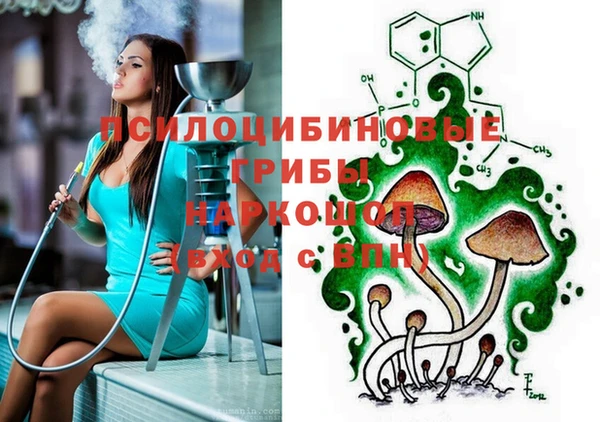 таблы Михайловск