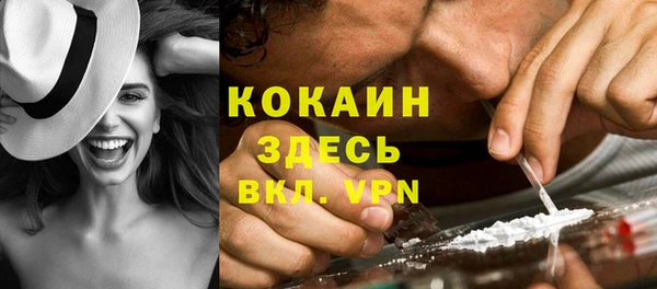спиды Михайлов